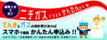 ニチガス
